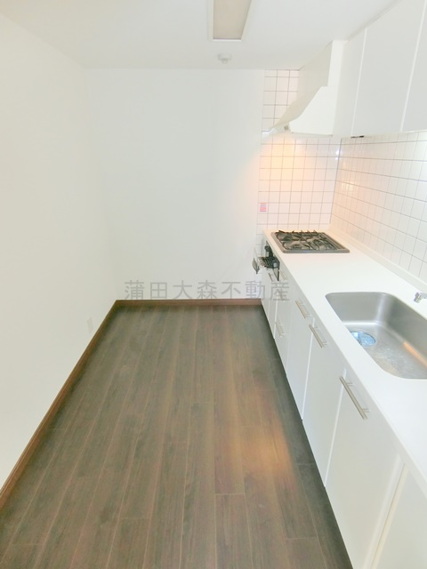 西馬込駅近ルーフバルコニー付1LDKのキッチン