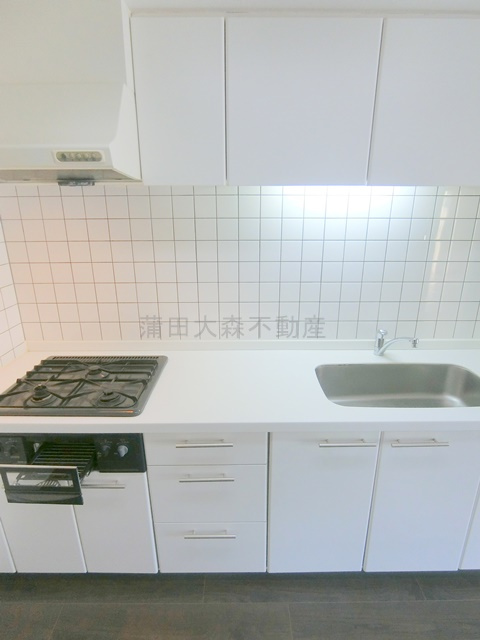 西馬込駅近ルーフバルコニー付1LDKのキッチン|3口ガスグリル付システムキッチン