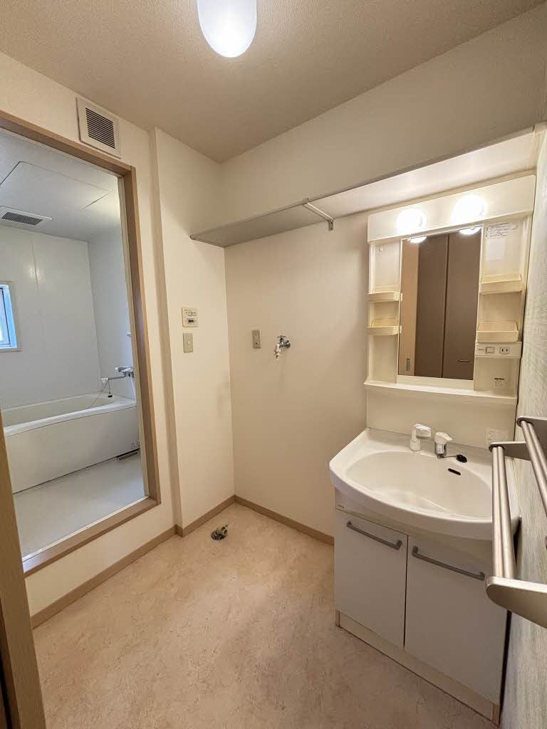 ハーティハイツⅢ Ｃ棟の洗面所