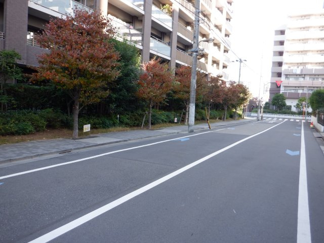 シャリエ亀戸リーディングイーストのその他|前面道路