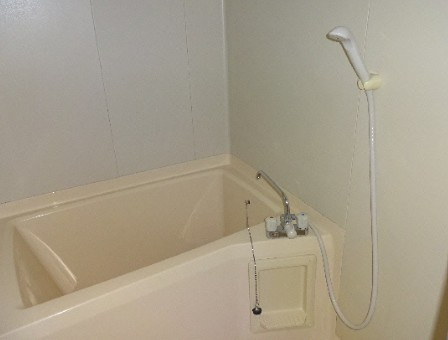 ベルトピア新居浜の浴室