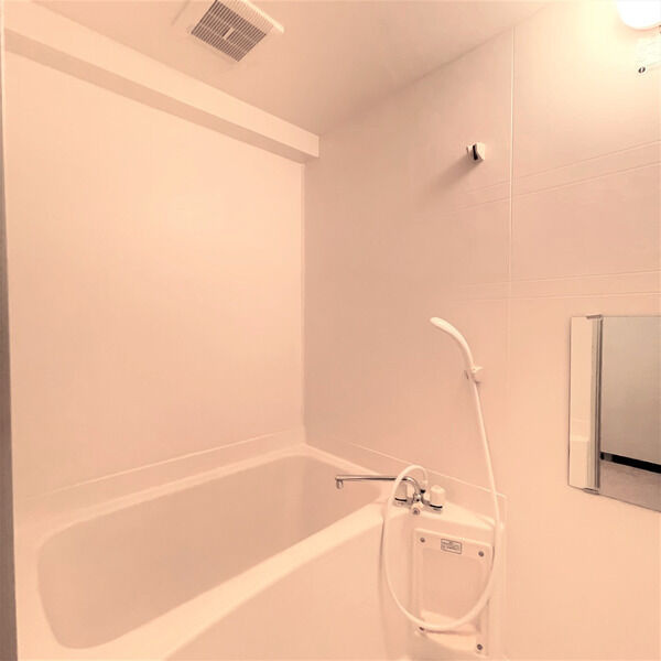 サン・エヴォリュエの浴室