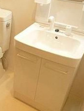 ライジングプレイス巣鴨の洗面所