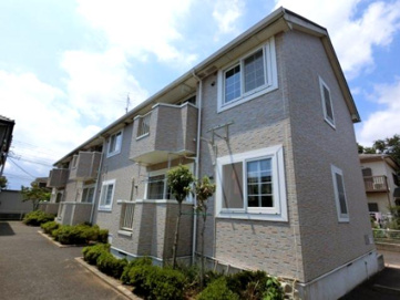 ネオ イグチの画像