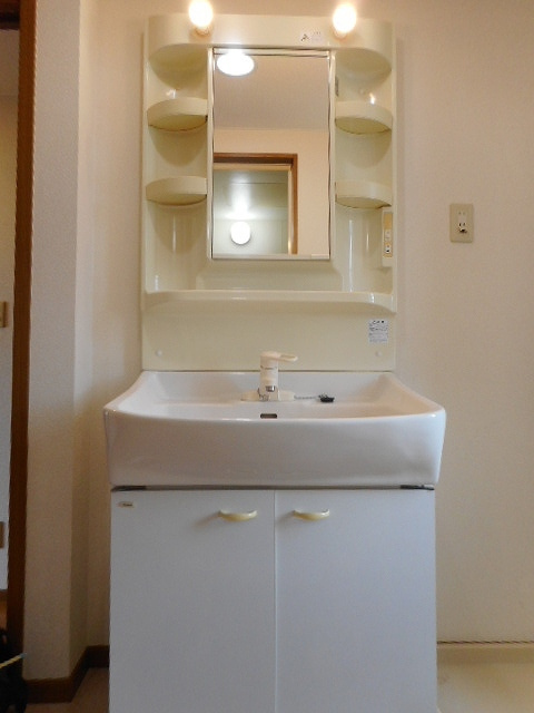 サウスメリーＡの洗面所|洗面所