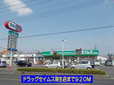 【周辺】 | フォンターナ | ドラッグセイムス羽生店まで920m