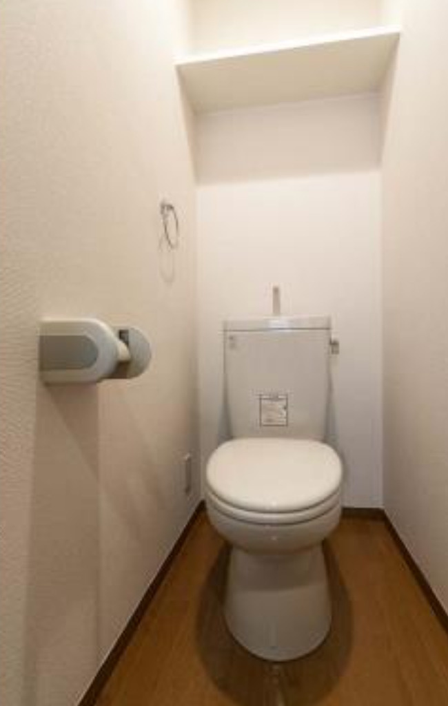 ブレコンプラザ銀座のトイレ