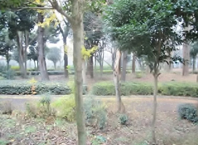 【展望】 | セントラルハウス青葉