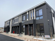 フェリーチェ・ヒマワリの画像