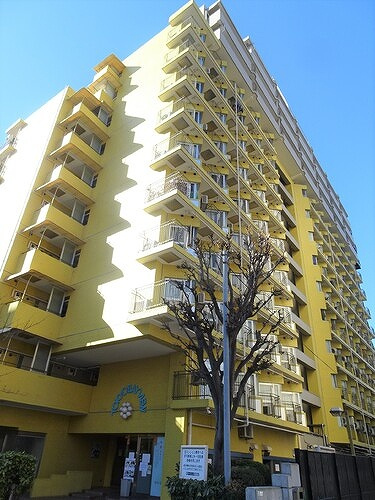 東京ベイビュウ