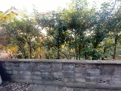 【展望】 | 桑本貸家