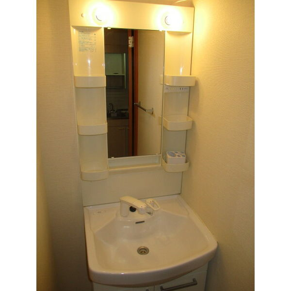 エクセレンスの洗面所