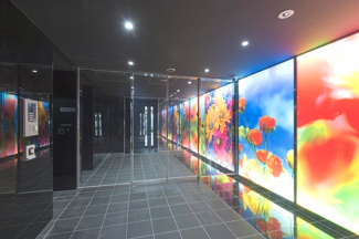 【外観】 | THE　HOUSE　赤坂檜町