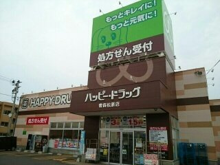 【周辺】 | グランメール勝田 | ハッピードラッグ青森松原店まで640m