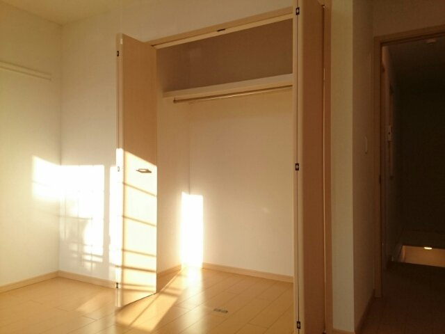 ストレリチア・オ－ガスタの収納