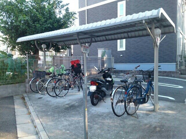 ストレリチア・オ－ガスタのその他