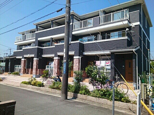 ストレリチア・オ－ガスタ