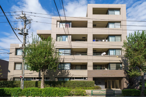 ロイヤルステージ井草