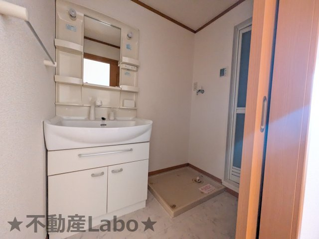 ベルメゾン サピーAの洗面所