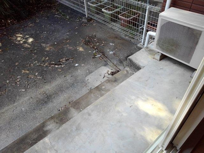 【庭】 | シェーヌⅡ