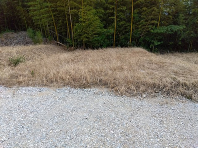 【その他】 | 御殿山1丁目事業用借地 | 資材置場