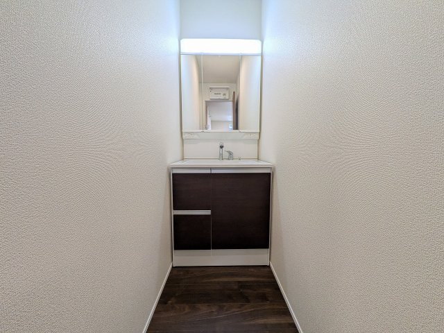 八王子市　散田町　新築一戸建て　２期の独立洗面台|～３面鏡付きの独立洗面台　細々している物をスッキリ収納出来ます～