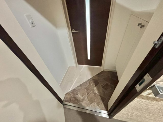 F asecia iliaの玄関