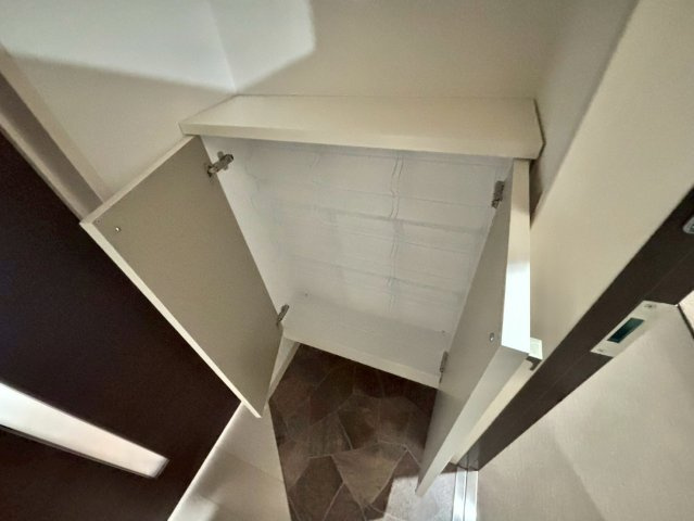 F asecia iliaの玄関