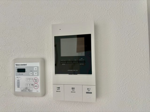 F asecia iliaのセキュリティ