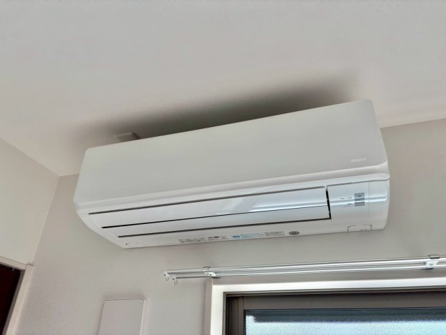 F asecia iliaの設備