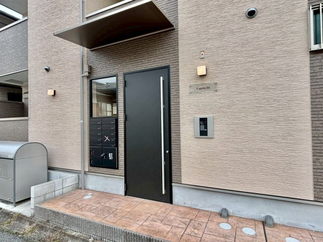 F asecia iliaのエントランス