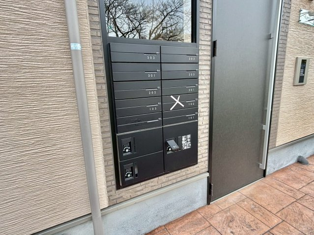 F asecia iliaのその他共用部分