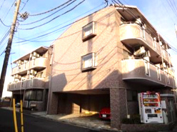 フォルティス・メア