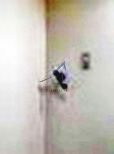 ルネ　シェスタ