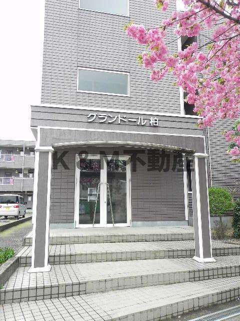 グランドール柏のエントランス|落ち着いたエントランスです