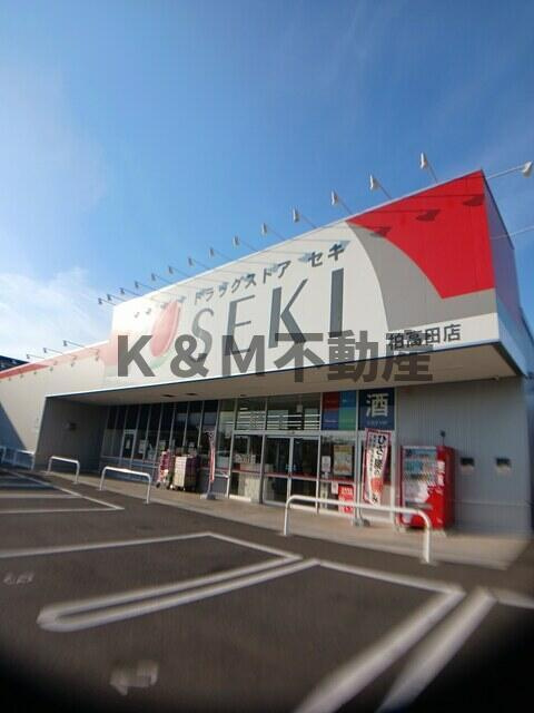 グランドール柏の周辺|ドラッグストア　セ…まで1,168m 