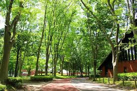 二の宮ハイツの周辺|洞峰公園まで８００メートル
