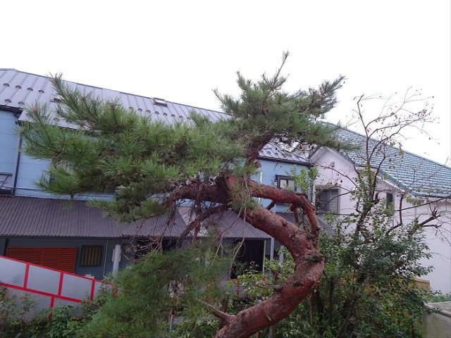 コーポ千代荘の展望