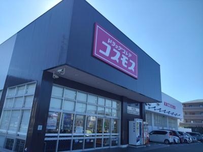  | クイーンズ片江 | ディスカウントドラックコスモス片江店 540m