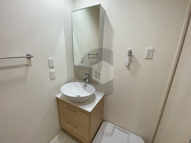 フジパレス森河内東2番館の独立洗面台