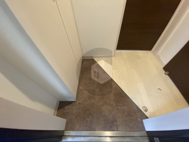 ルミエール長瀬2の玄関