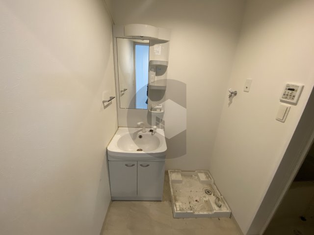 ルミエール長瀬2の洗面所