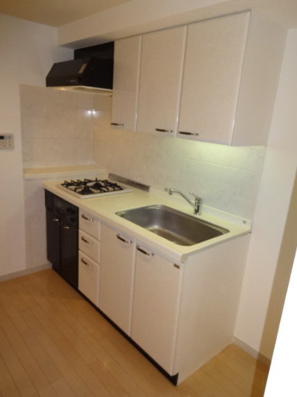 スカーラ代官山　礼金０　分譲　常時ゴミ出し可　防犯設備充実のキッチン
