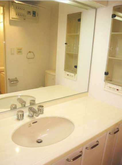 スカーラ代官山　礼金０　分譲　常時ゴミ出し可　防犯設備充実の洗面所