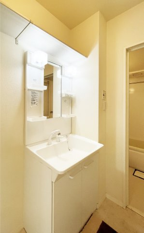 シャーメゾン南田宮の洗面所