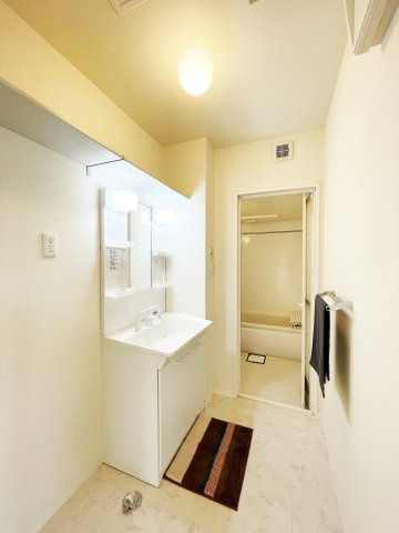 シャーメゾン南田宮の洗面所