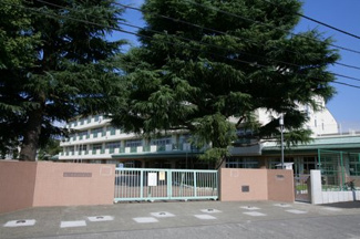 【周辺】 | 中野区丸山2丁目　建築条件なし売地【南向き整形地 建物参考プランあり 現況更地】7690万円 | 中野区立緑野小学校