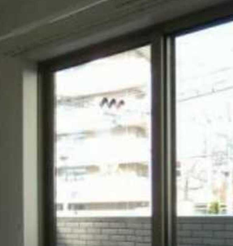 ブエナビスタ二子玉川　ネット無料　角部屋　築浅の展望