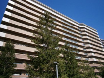 ☆メロディーハイム茨木パークアヴェニューの画像