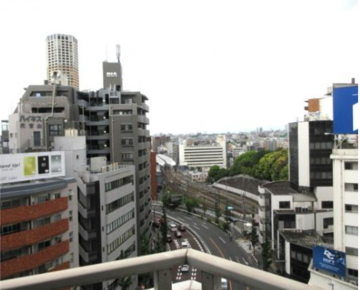 ヒルズ代官山　角部屋　分譲　常時ゴミ出し可　リノベーションの展望